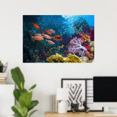 Poster Coral Reef Scenery | Bigeye Or Goggle-Eye (Bureau à domicile)