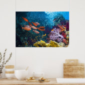 Poster Coral Reef Scenery | Bigeye Or Goggle-Eye (Cuisine)