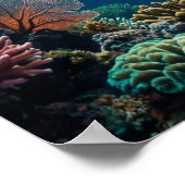 Poster Coral Shark Reef Fantasy Decor (Coin)