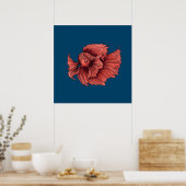 Poster Coral Siamese combat le poisson (Cuisine)
