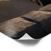 Poster Corbeau (Coin)