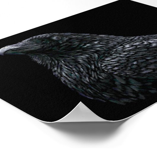 Poster Corbeau (Coin)