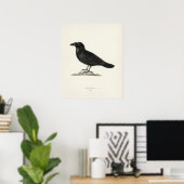 Poster Corbeau (Bureau à domicile)