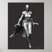 Poster Corbeau (Devant)