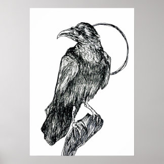 Poster Corbeau Amical