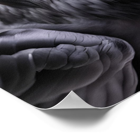 Poster Corbeau dans un chapeau de Père Noël (Coin)