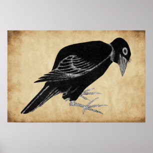 Poster Corbeau de Katsushika Hokusai 1814