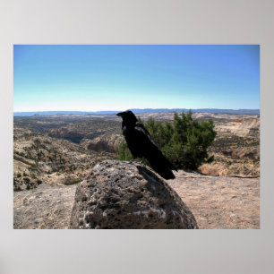 Poster Corbeau du désert