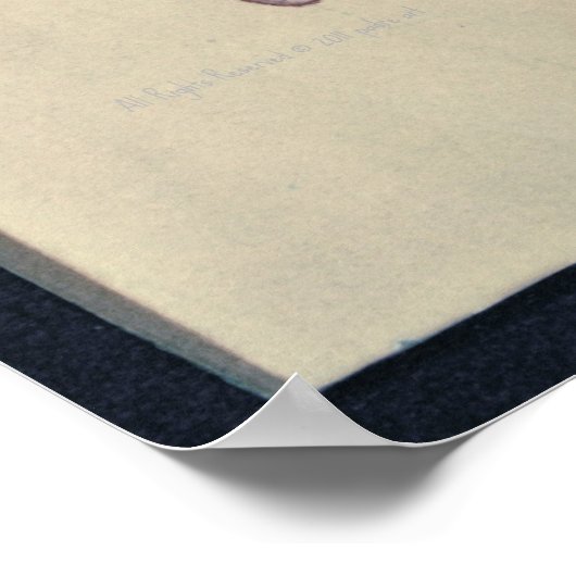 Poster Corbeau en neige (Coin)