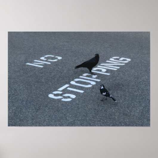 Poster Corbeau et pie (Devant)