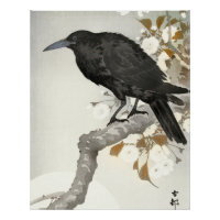 Corbeau Koson Japon Oiseau Corneille