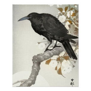 Poster Corbeau Koson Japon Oiseau Corneille