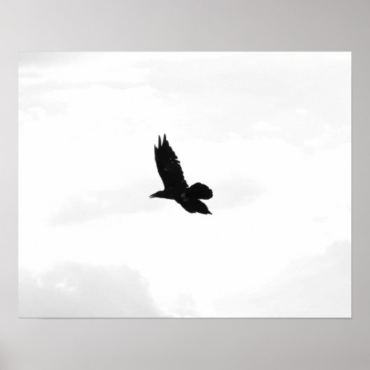 Poster Corbeau noir et blanc 16x20 (Devant)