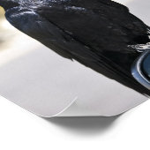 Poster Corbeau noir - Tirage d'art (Coin)