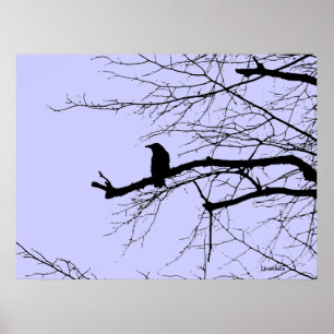 Poster Corbeau sur l'arbre