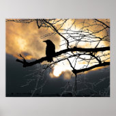 Poster Corbeau sur l'arbre (Devant)
