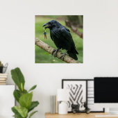 Poster Corbeau sur une branche avec clé (Bureau à domicile)
