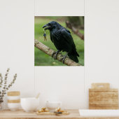 Poster Corbeau sur une branche avec clé (Cuisine)