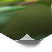 Poster Corbeau sur une branche d'arbre (Coin)