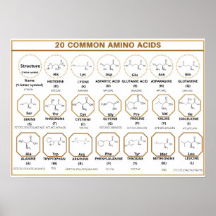 Poster Corde commune à 20 acides aminés communs
