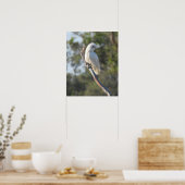 Poster Corella Bird (Cuisine)