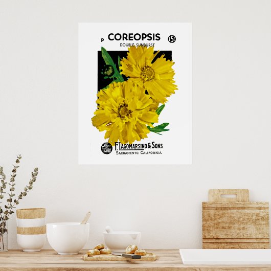 Poster Coréopsis (Cuisine)