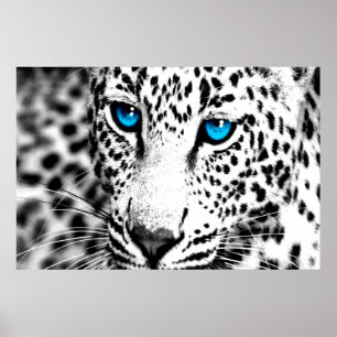 Poster Corey Tiger 80s Retro Leopard