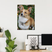 Poster Corgi beau (Bureau à domicile)