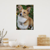 Poster Corgi beau (Cuisine)