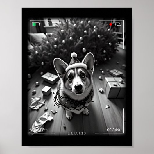 Poster Corgi de Noël pris en photo (Devant)