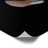 Poster Corgi & Fairy - Funny Pembroke Welsh Corgi (Coin)