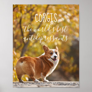 Poster Corgis les meilleurs antidépresseur du monde