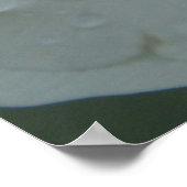 Poster Corinthiens 13:13 Bible Verse Rose blanche Imprime (Coin)