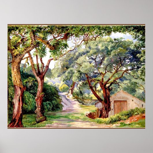 Poster Cork Trees à Cintra près de Lisbonne, (Devant)