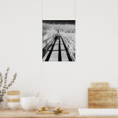 Poster Corkvis Swamp Sanctuary walk, Floride, (Cuisine)