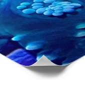 POSTER CORLAL MAN (Coin)