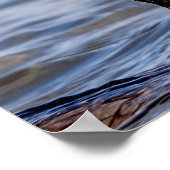 Poster Cormoran avec un poisson (Coin)