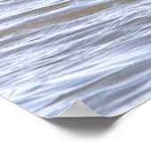 Poster Cormorant à double crête (Coin)