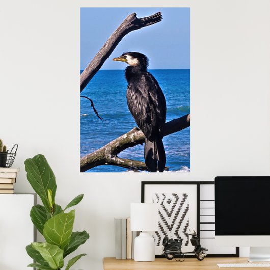 Poster Cormorant dans New Plymouth (Bureau à domicile)