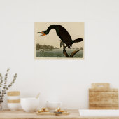 Poster Cormorant de Floride (Cuisine)
