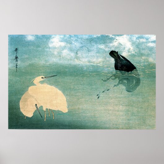 Poster Cormorant et héron blanc 1789 (Devant)