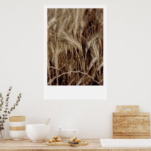 Poster Corn (Cuisine)