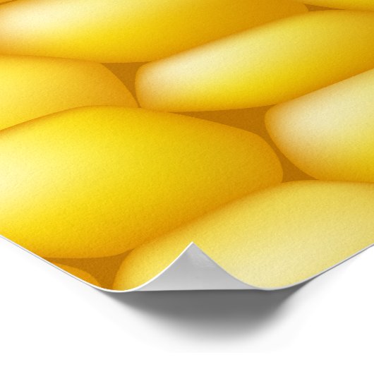 Poster Corn Cob Arrière - plan (Coin)