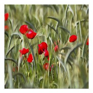 Poster Corn Poppies