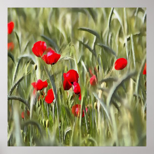 Poster Corn Poppies