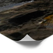 Poster Corne à couver (Coin)