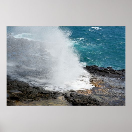 Poster Corne à couver (Devant)