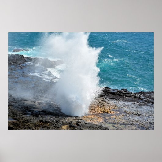 Poster Corne à couver (Devant)