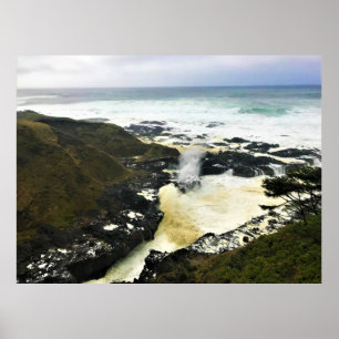 Poster Corne pondeuse, Cap Perpetua, Côte de l'Oregon
