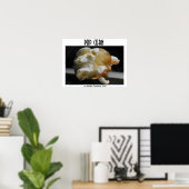 Poster Corne Pop (Bureau à domicile)
